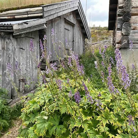 Pa Idyllisk Seter Casa de Férias Forset