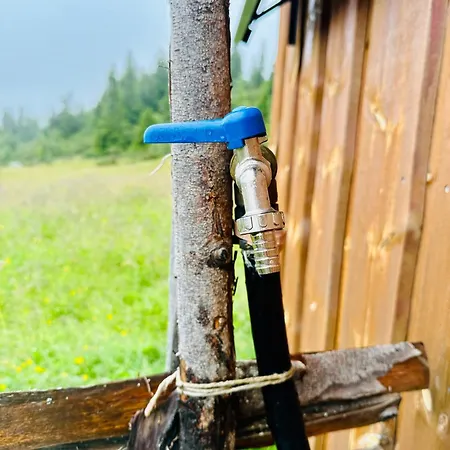 Pa Idyllisk Seter * Forset