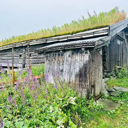 Pa Idyllisk Seter Forset